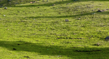 WX20241112-095406@2x.png